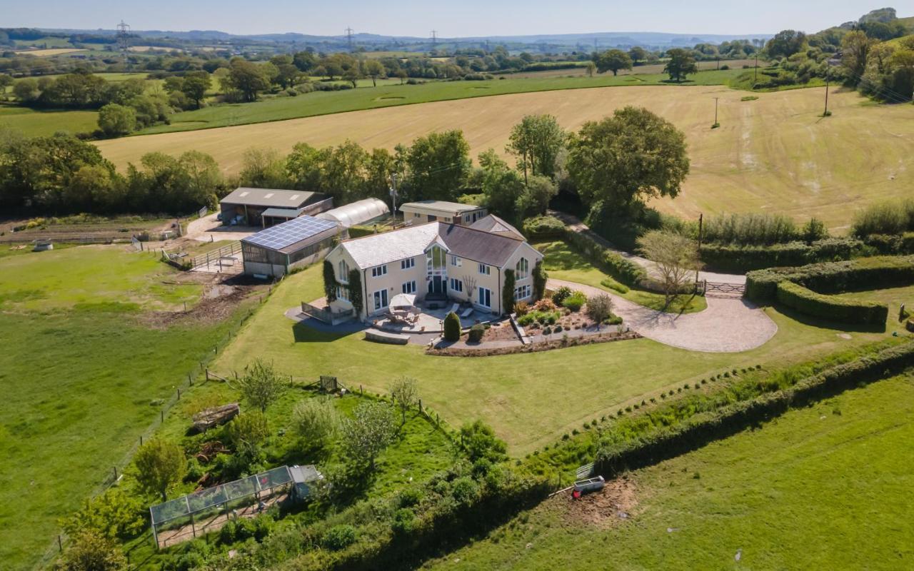 Copse Gate Farm Bed & Breakfast บริดพอร์ต ภายนอก รูปภาพ